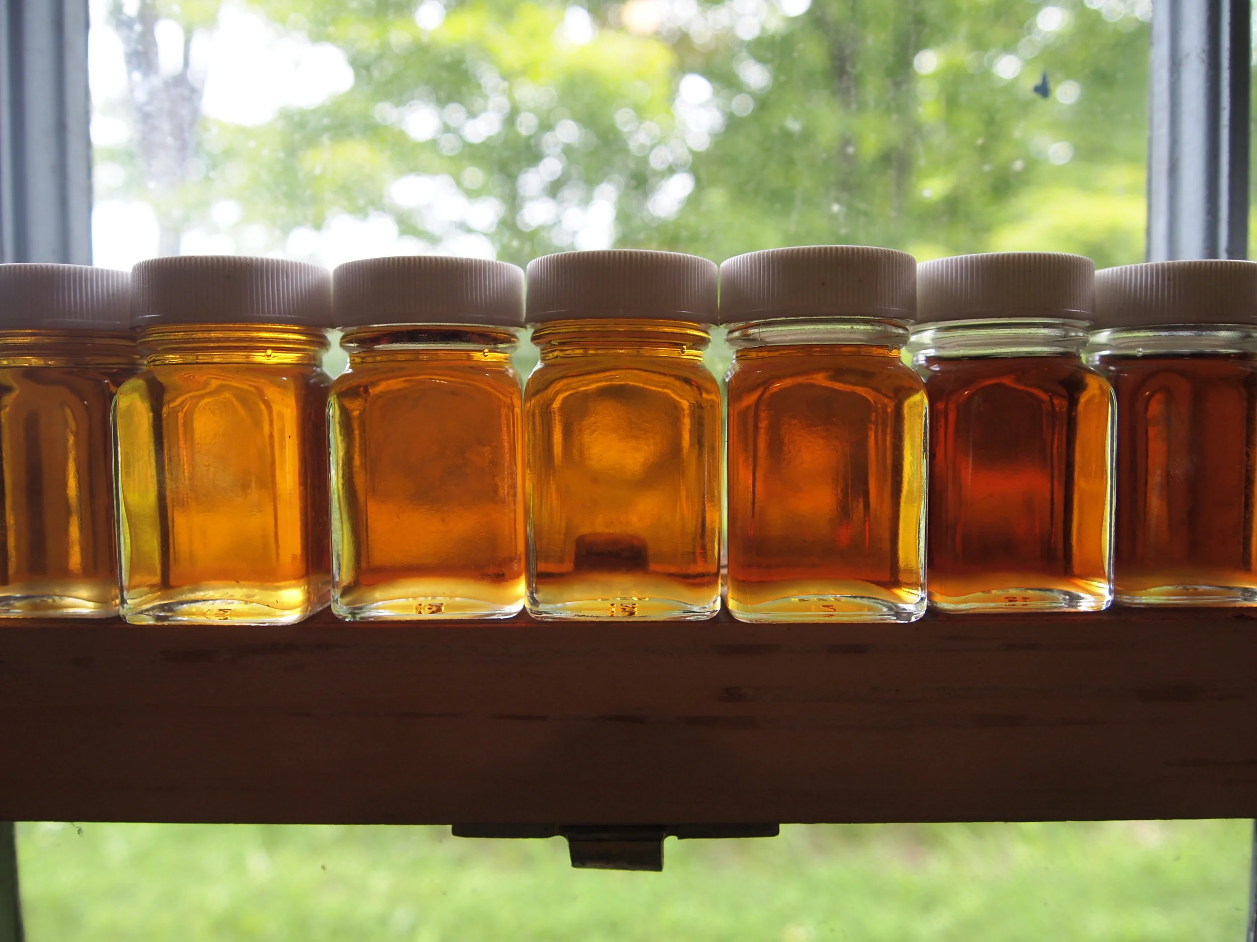 samplejars.jpg
