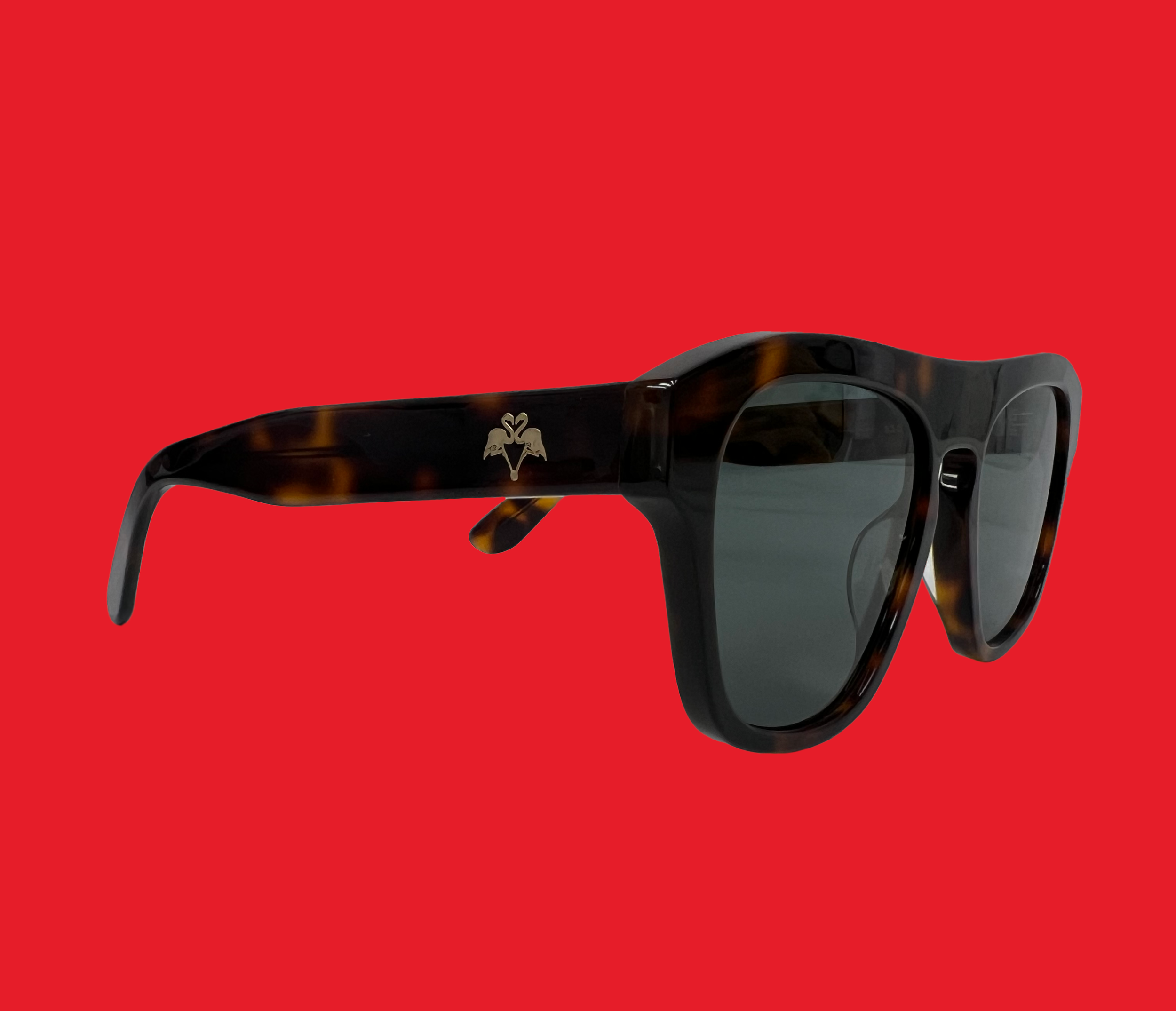 tortoise sunglasses lens 002.png