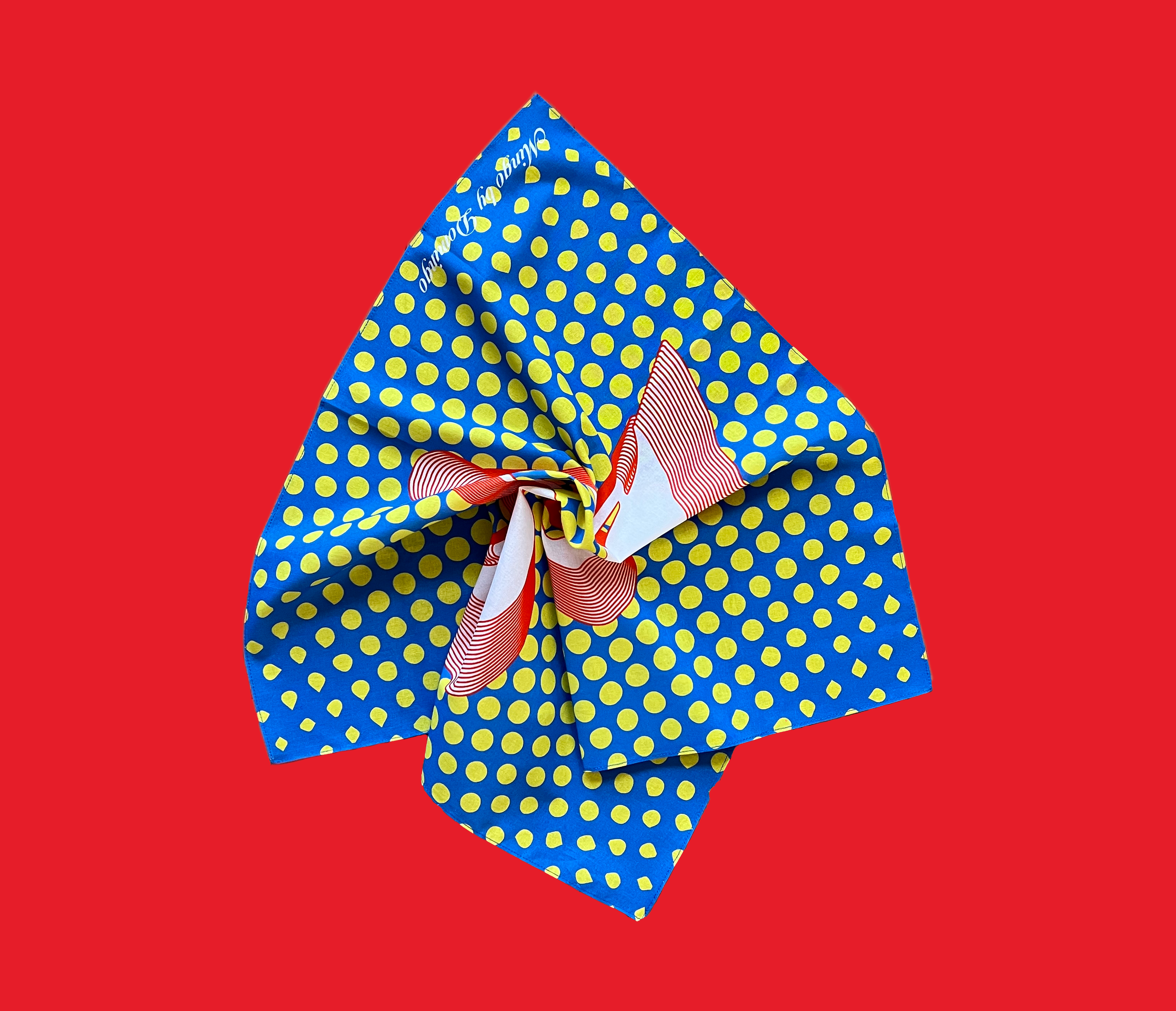 polkda dot bandana 002.png