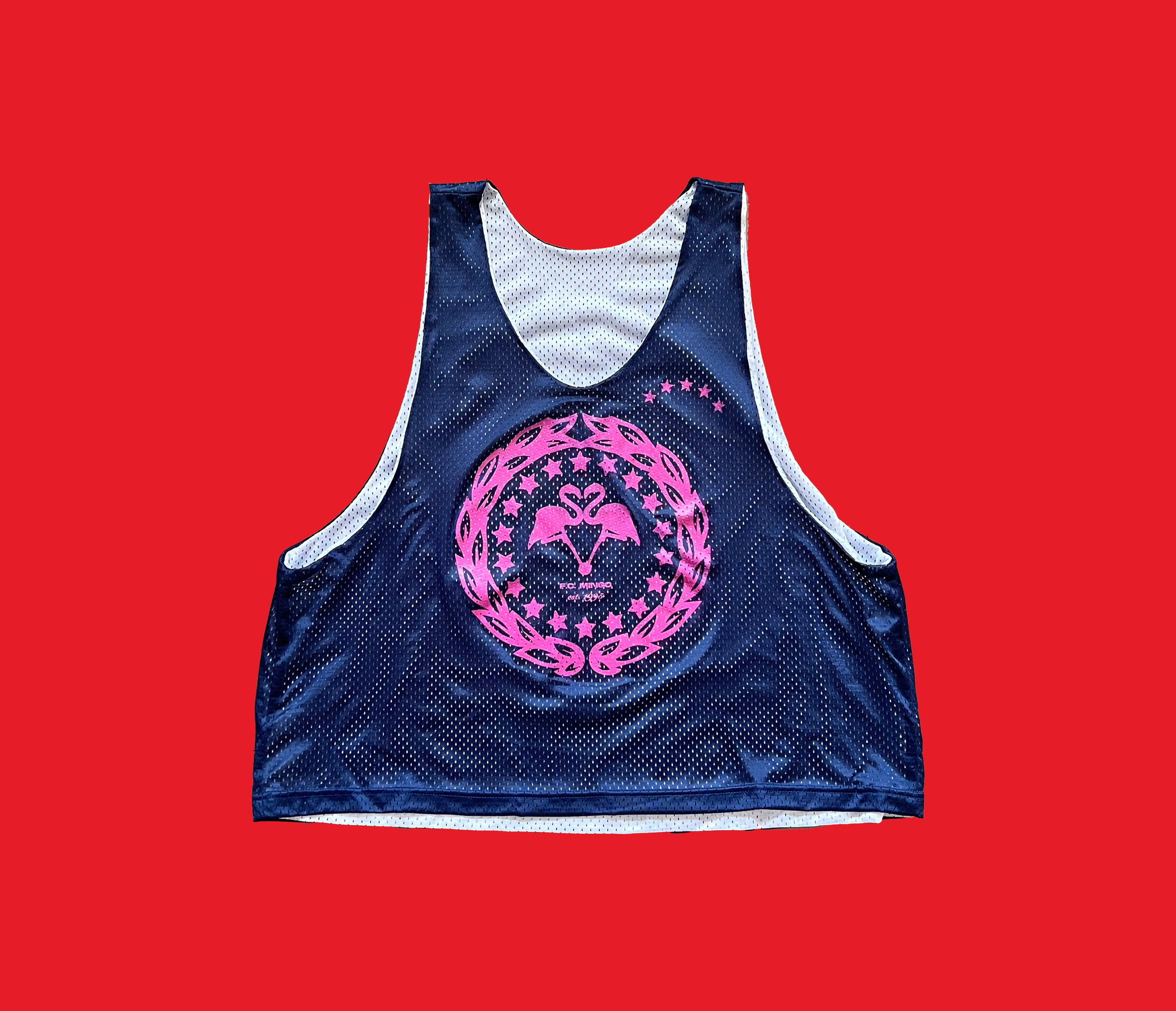 mingo practice basketball jersey 001.png