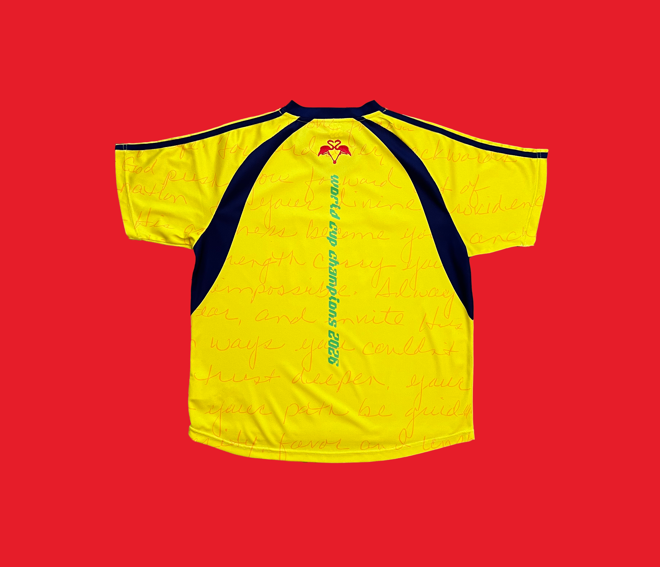 mingo x dance and go home jersey 002.png