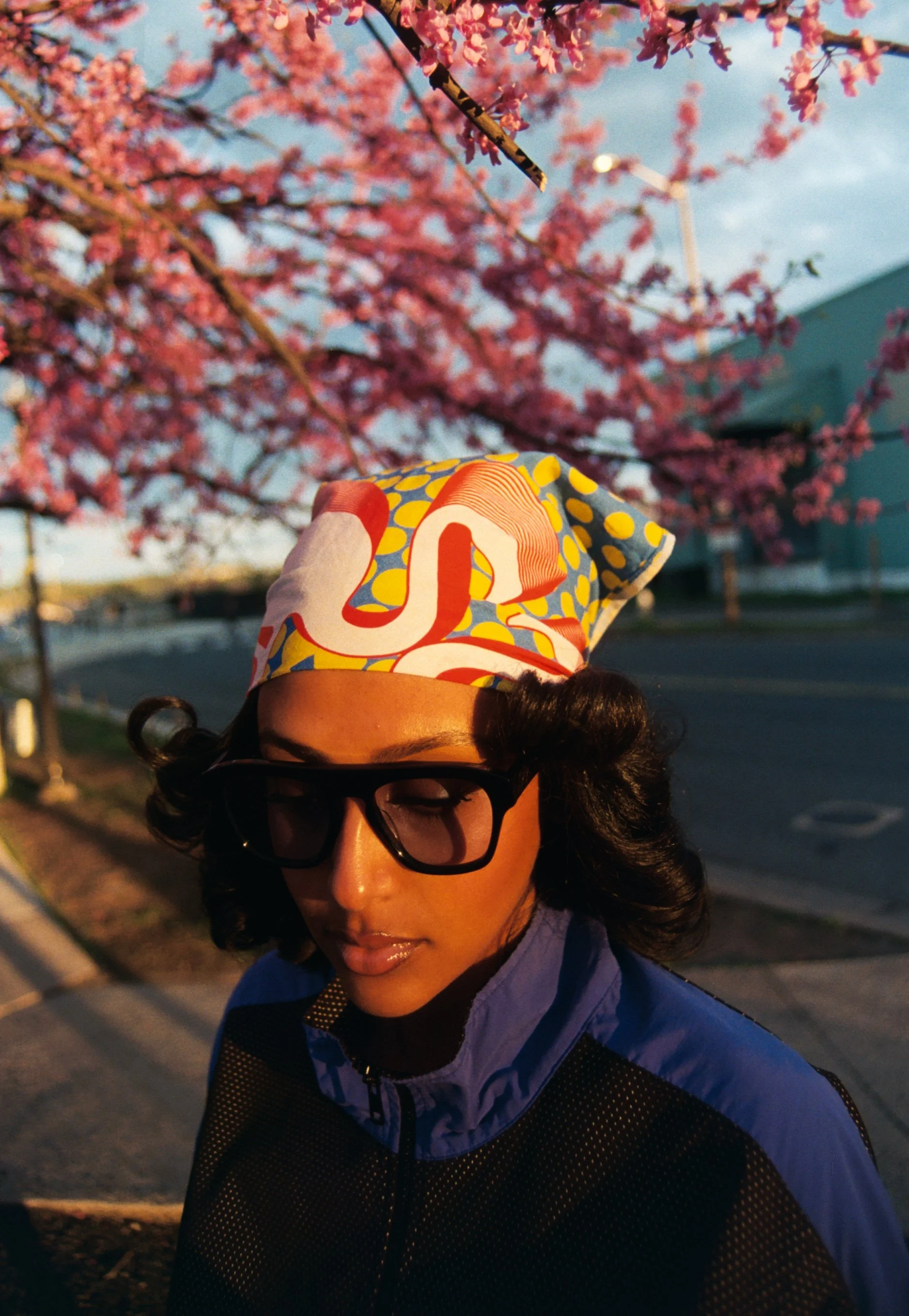 MINGO SES OLD TOWN-8.jpg