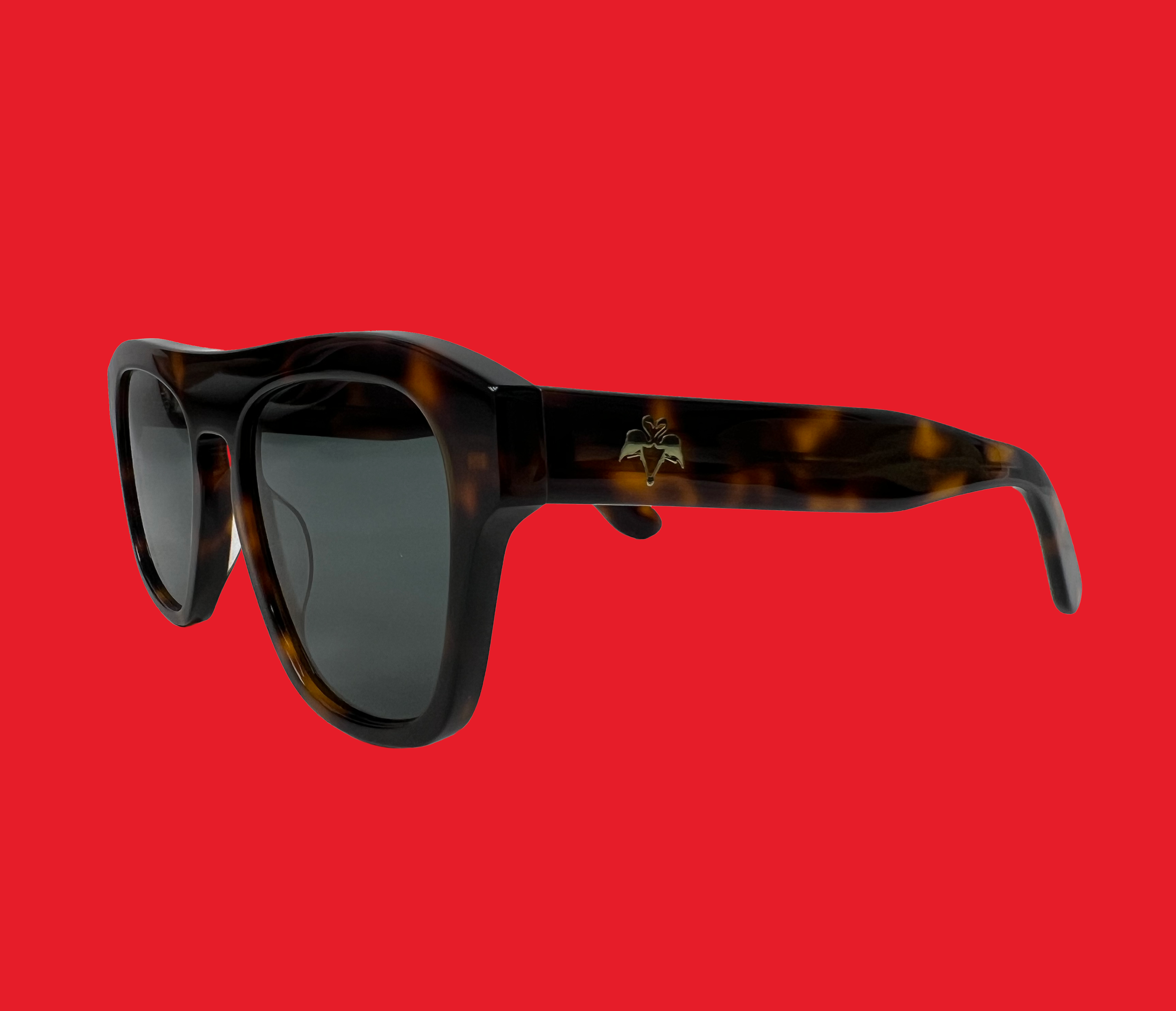 tortoise sunglasses lens 003.png