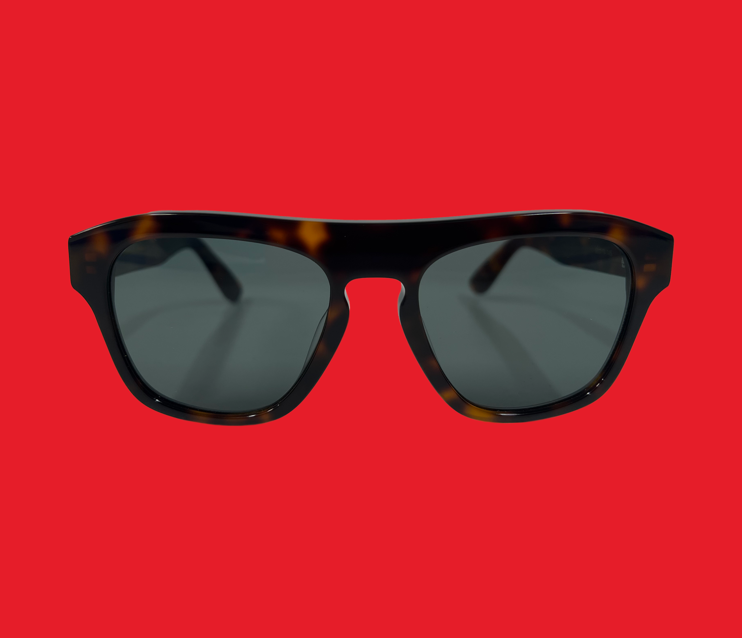 tortoise sunglasses lens 001.png