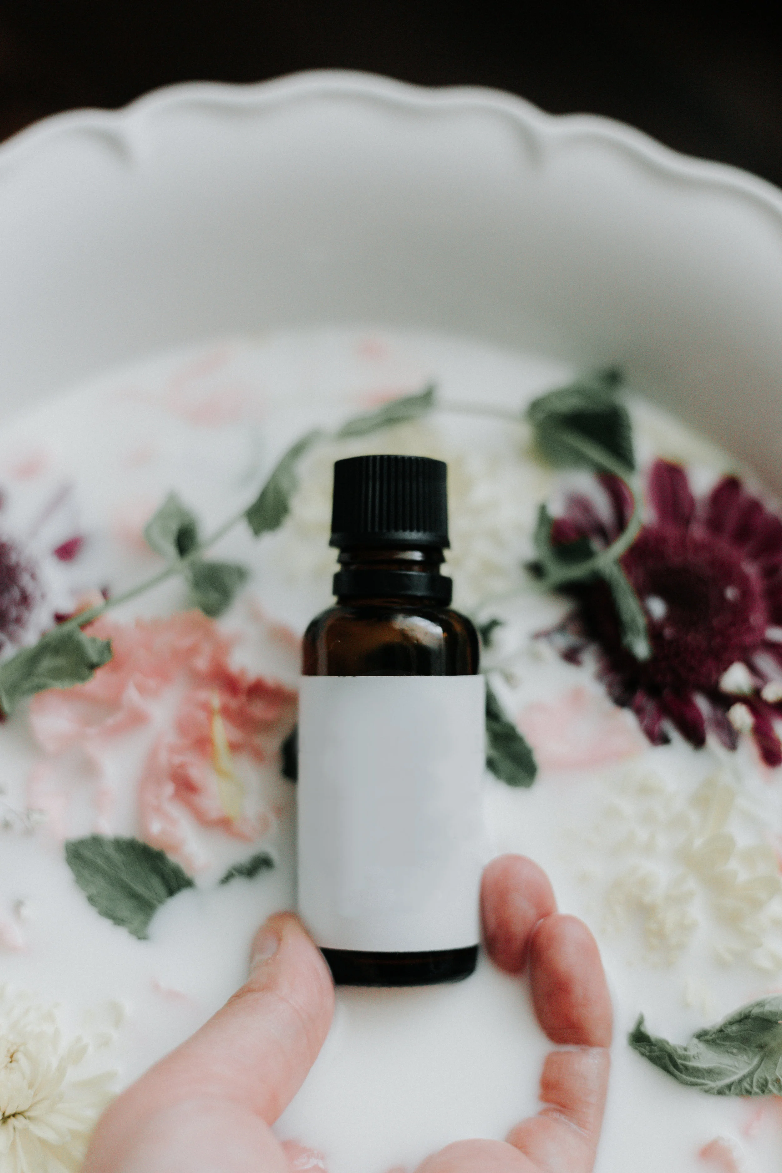 Role of Essential Oils In Aromatherapy + 5 Must-Have Essential Oils