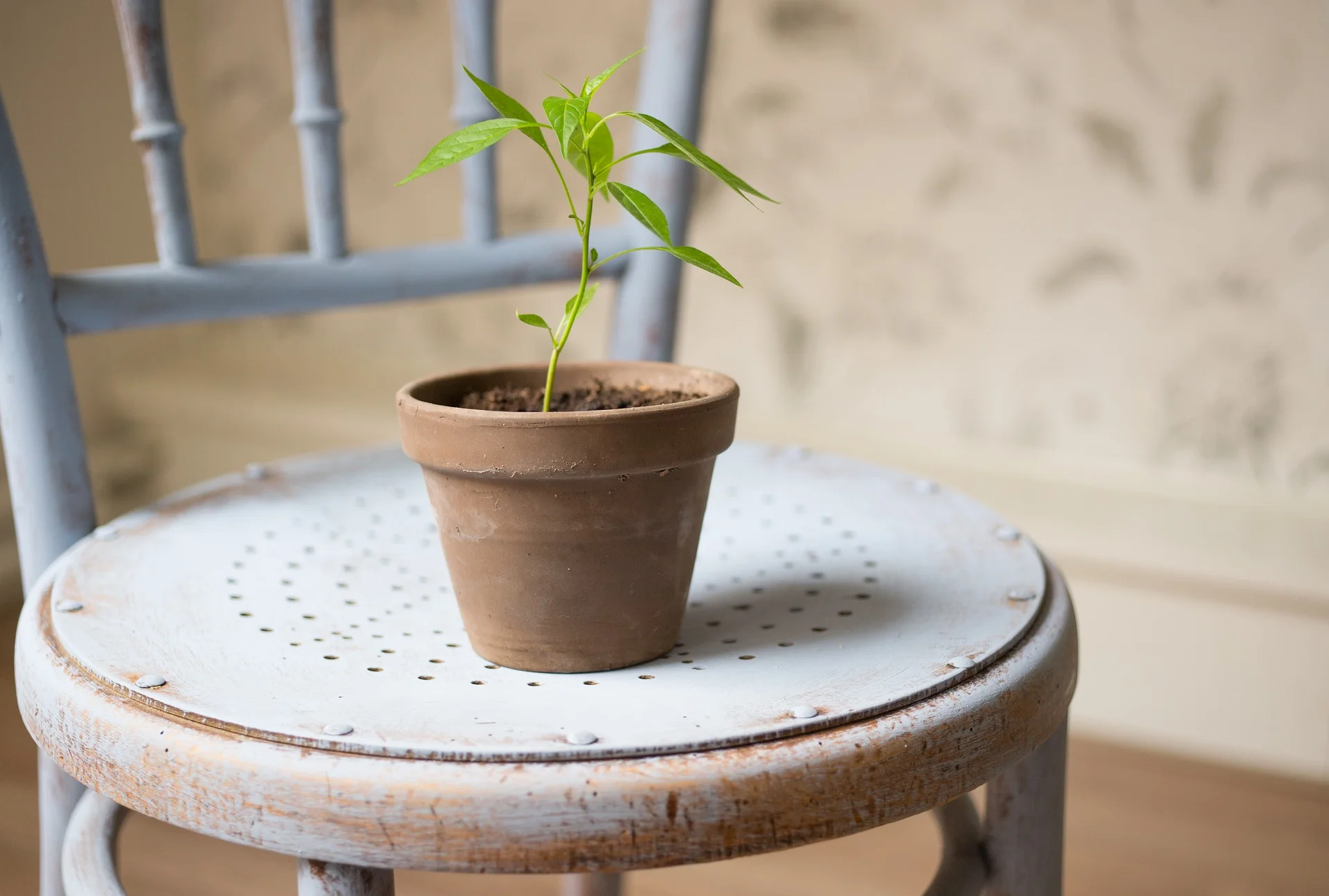3 keys for creating a culture of spiritual growth