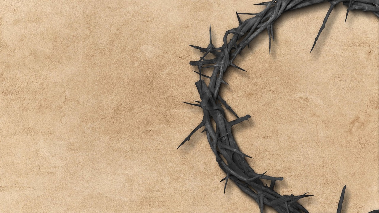 Why I'm not ashamed of Jesus