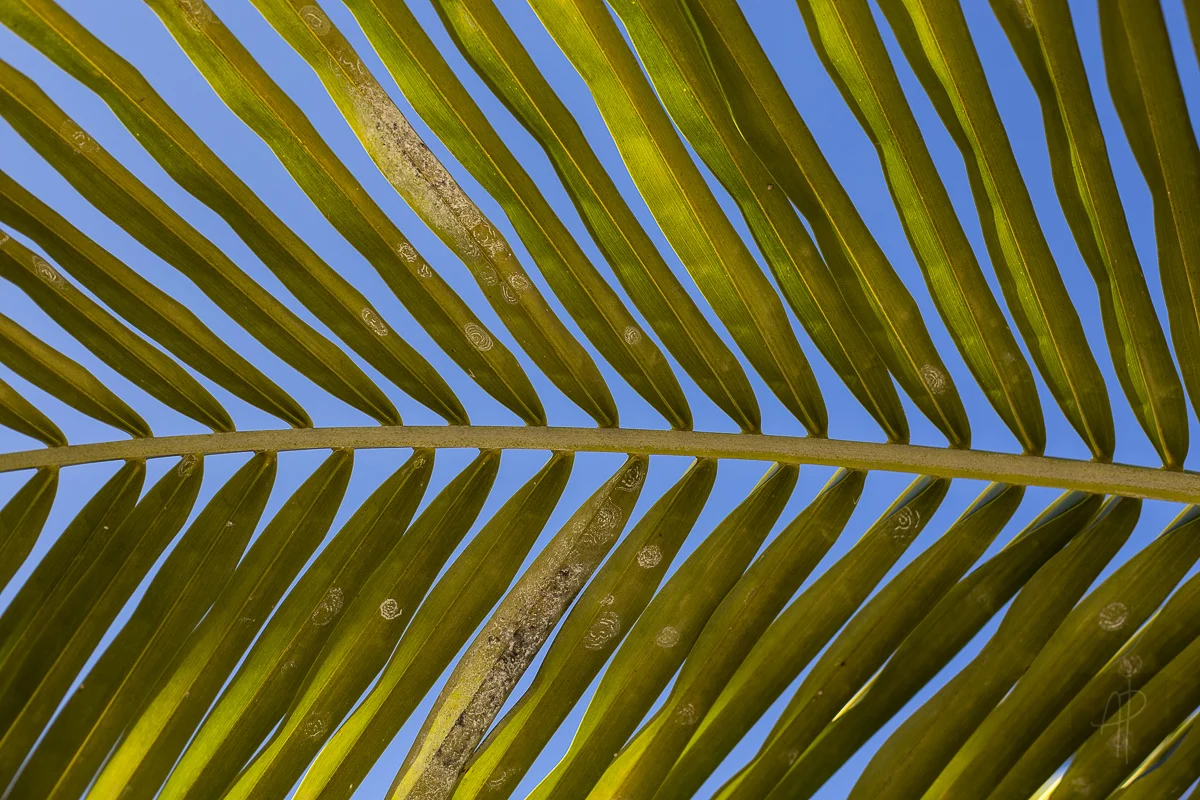 _MG_0728.jpg