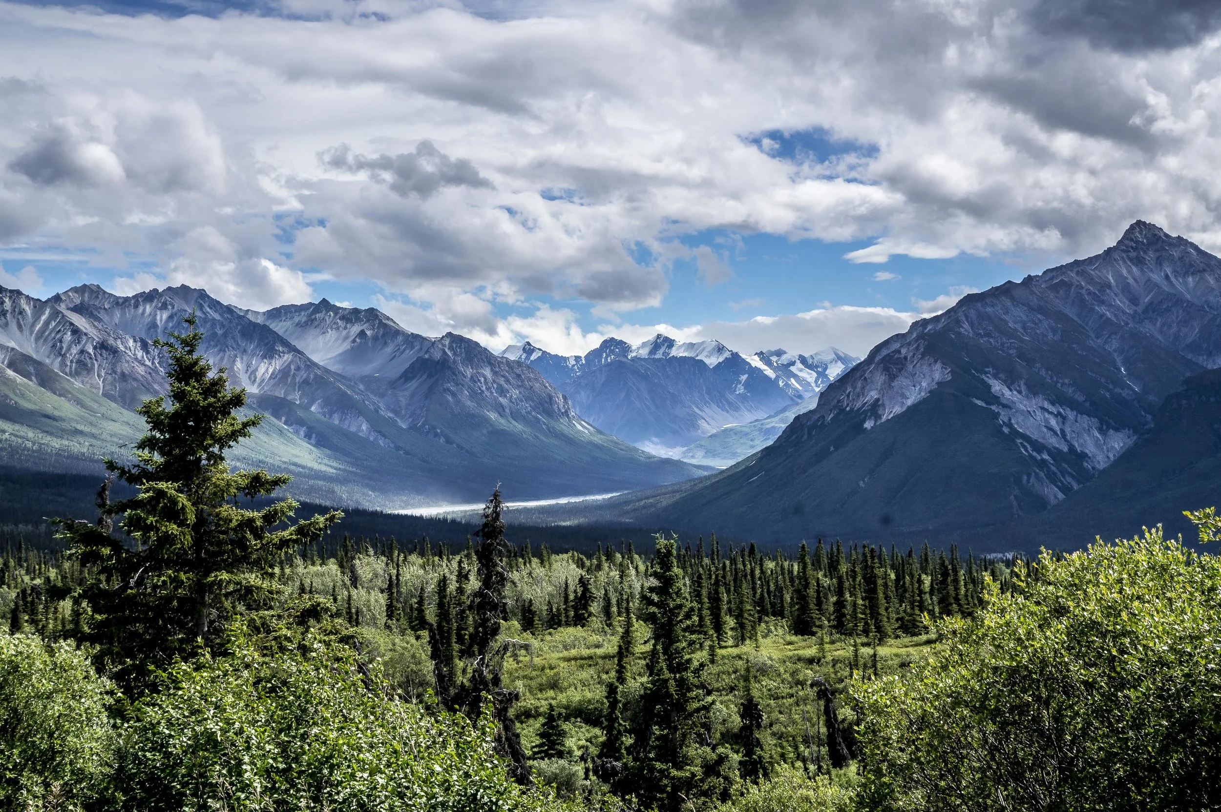 _DSC1320.jpg