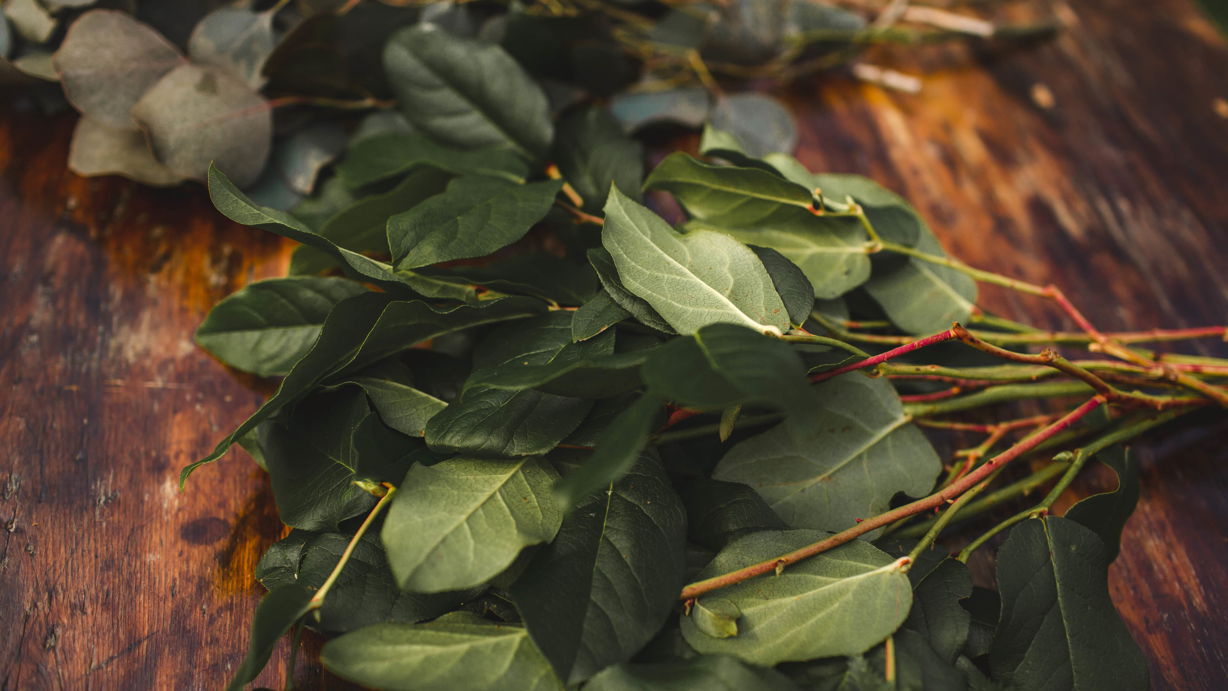 SALAL