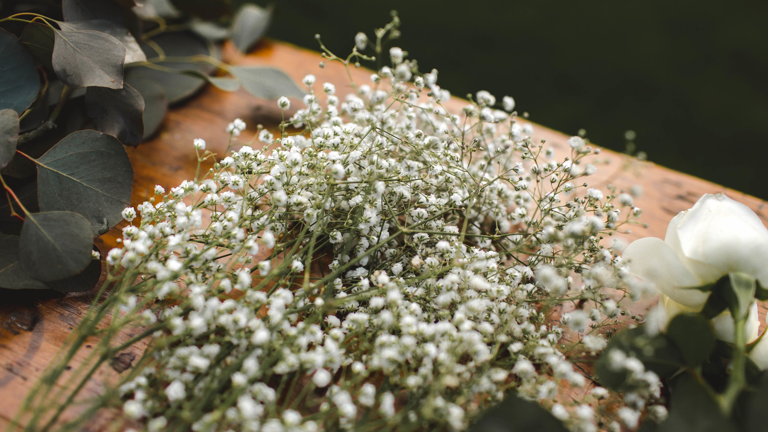 BABY'S BREATH