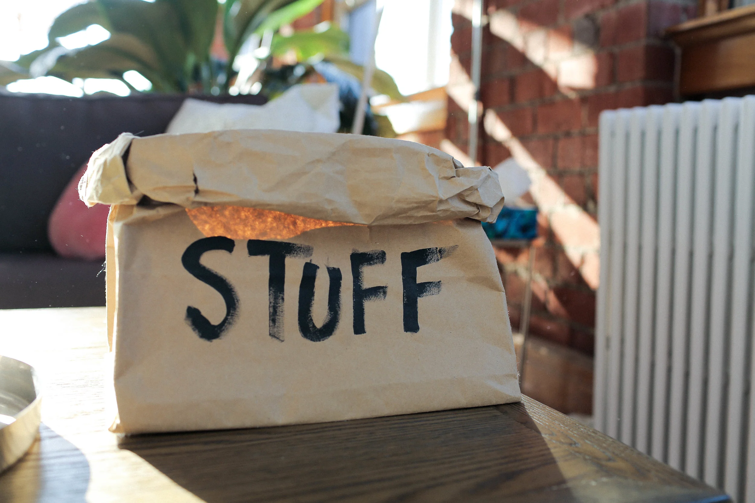 PAPER BAG ORGANIZER