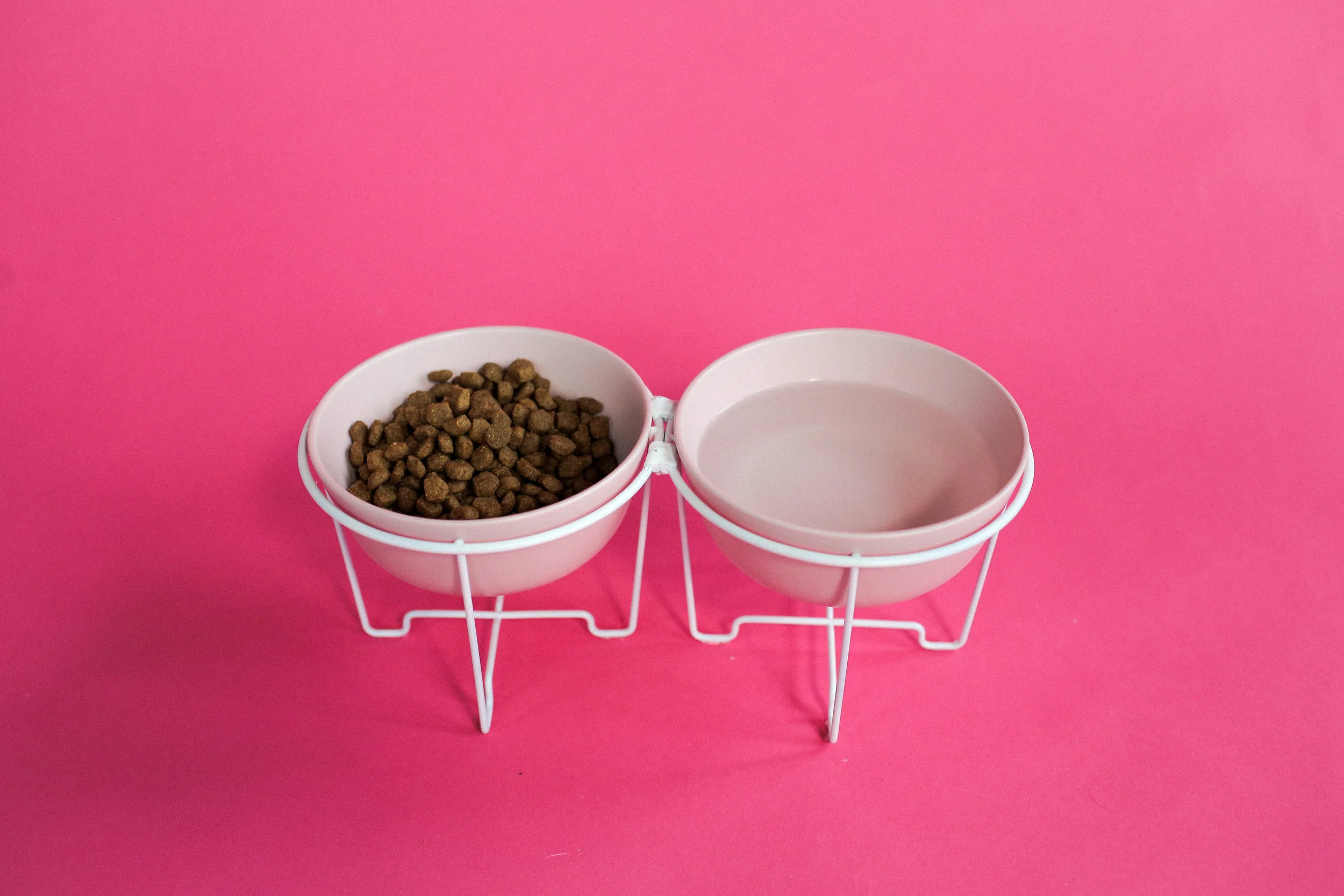 PetDIYs-25.jpg
