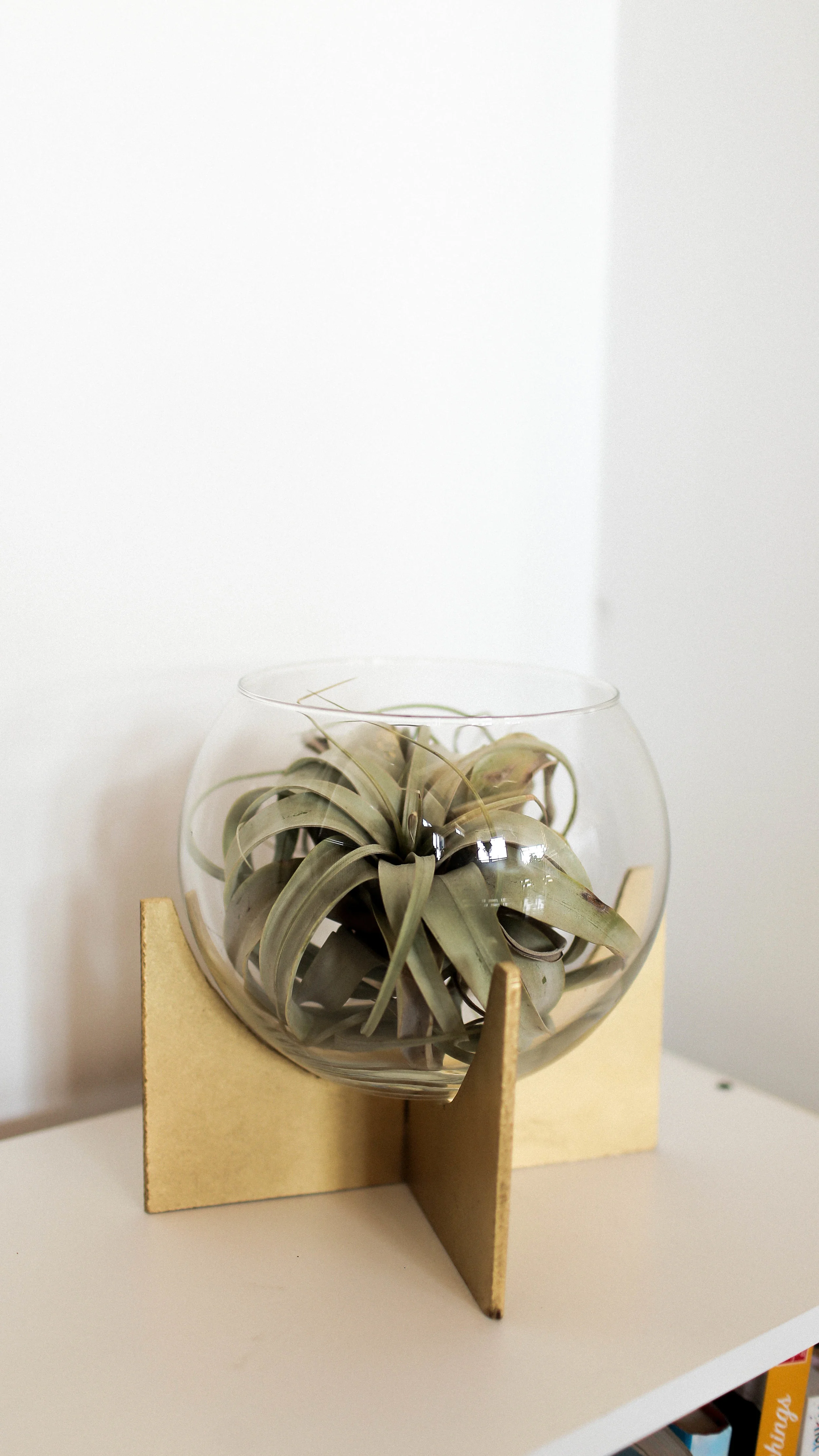 WestElm3-14.jpg