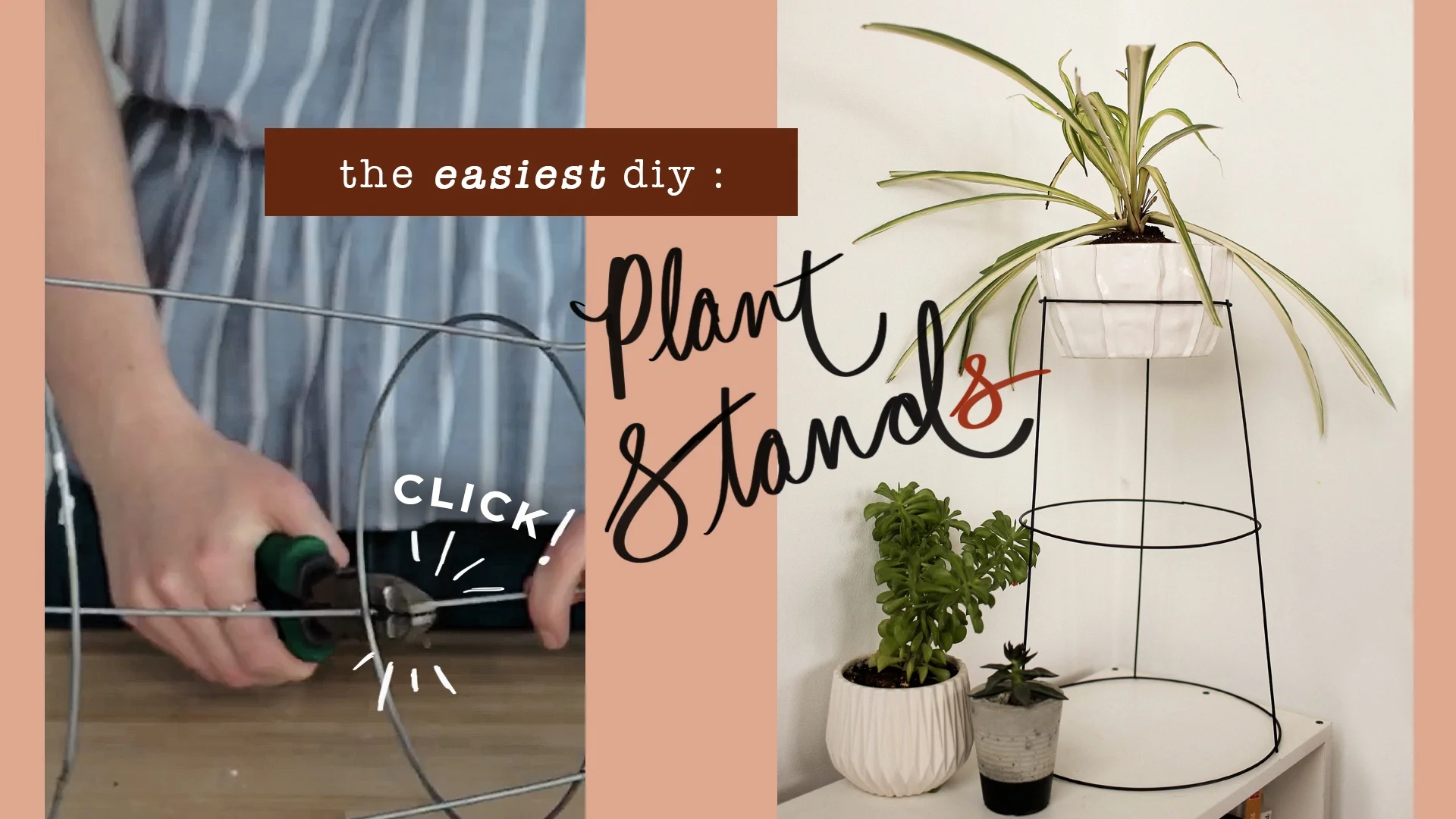 plant stand thumbnail.jpg