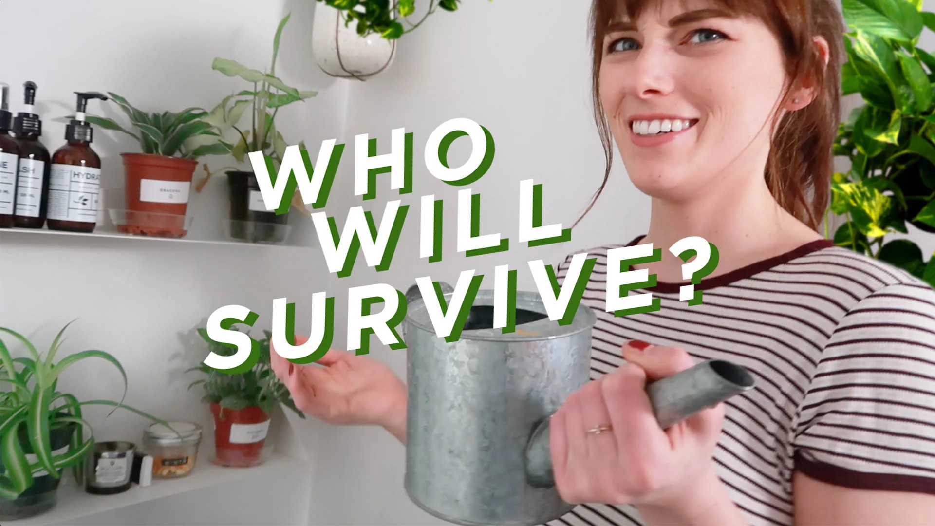 plantzerolight.jpg