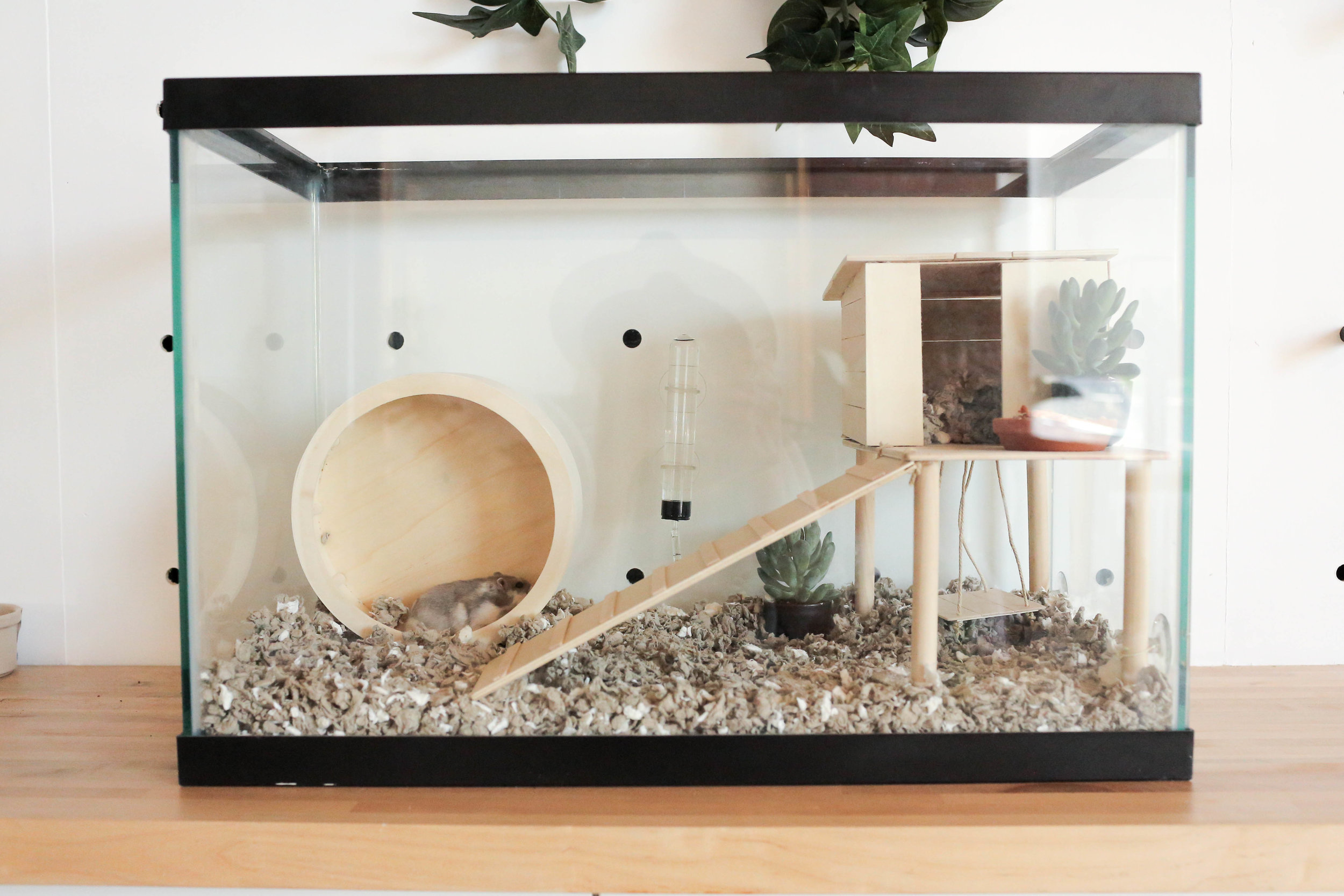 cool hamster cages diy