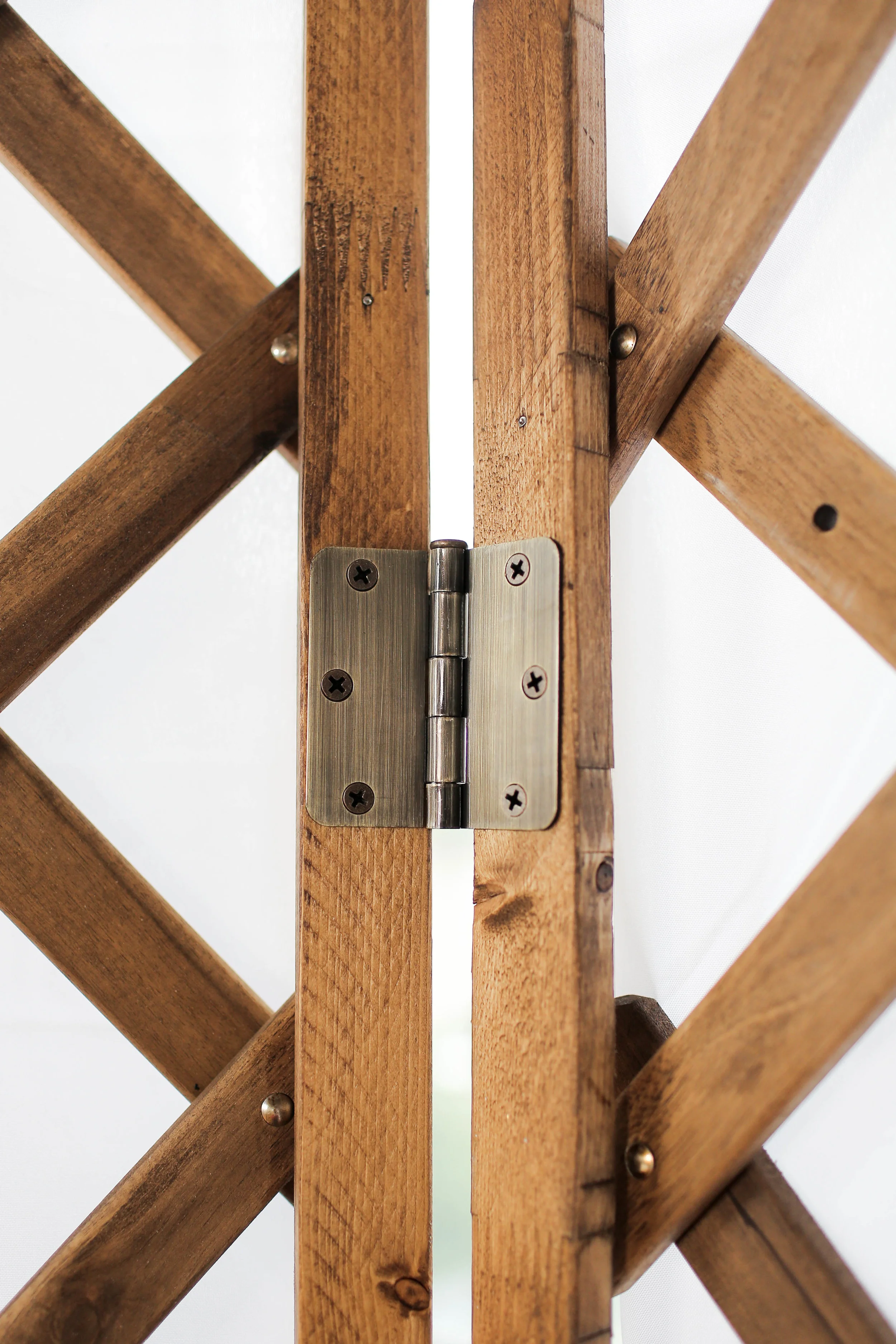 Trellis-38.jpg