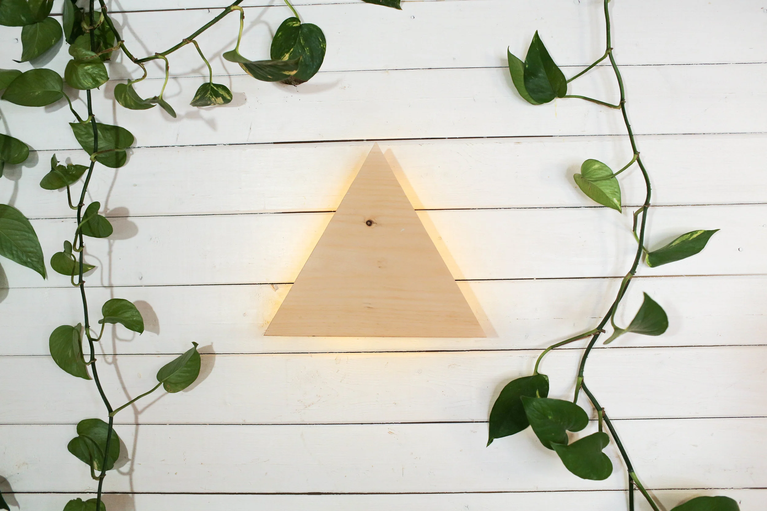 Trellis-43.jpg