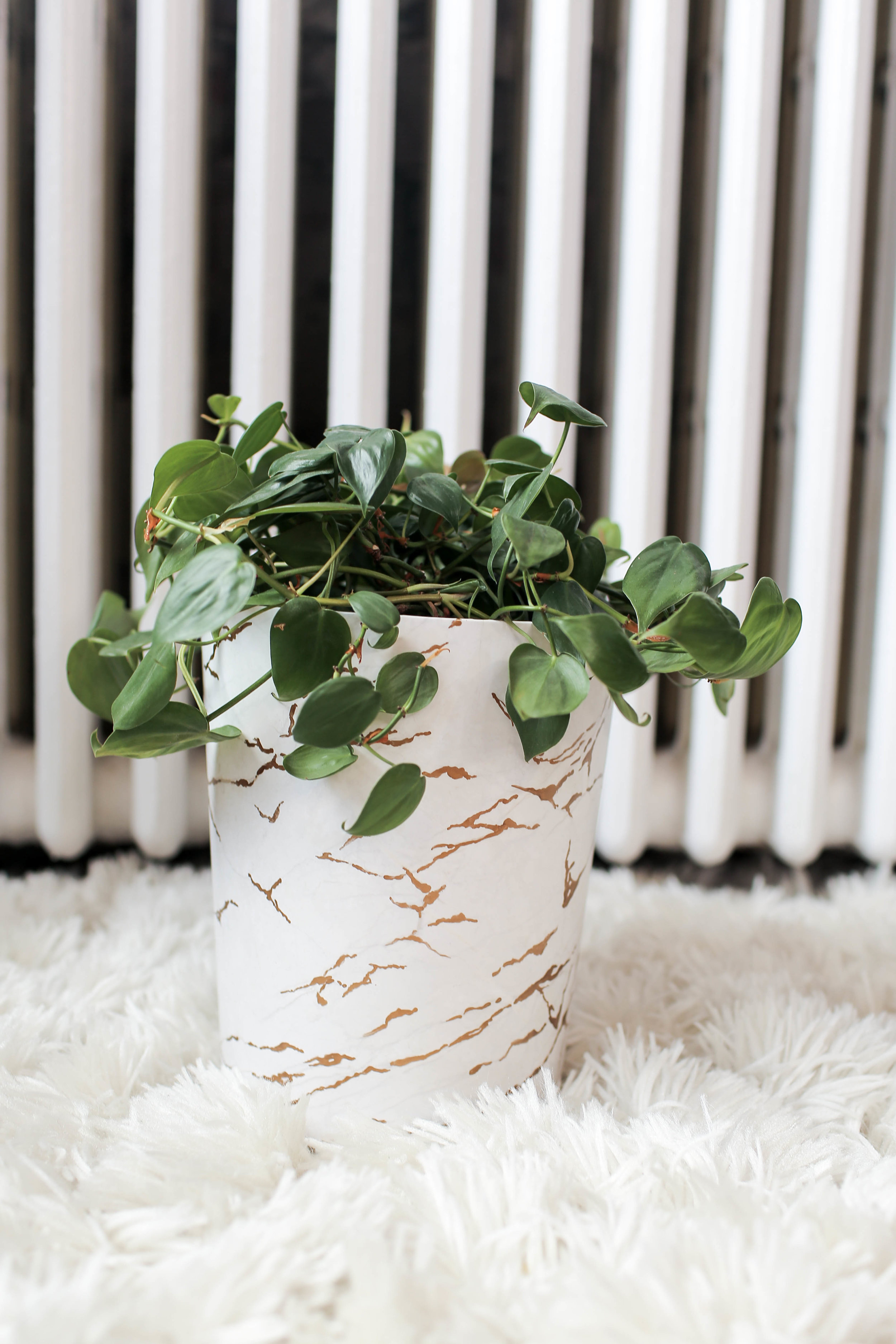 DIY $21 USD