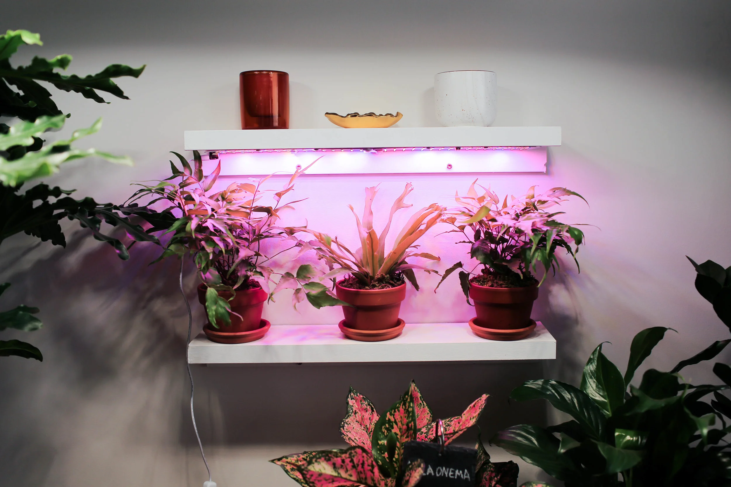 grow light shelves diy