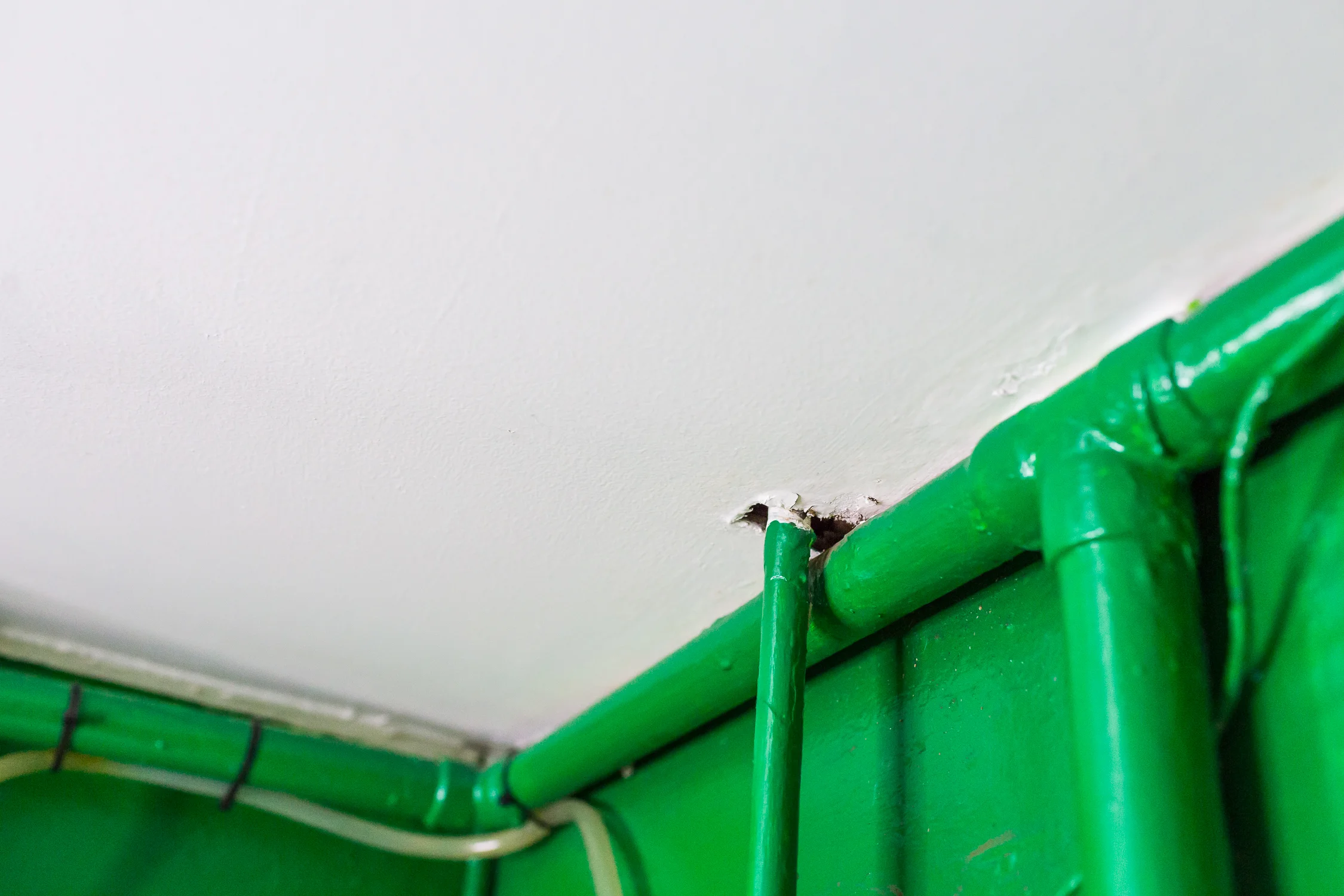 ClaireBathroom-16.jpg