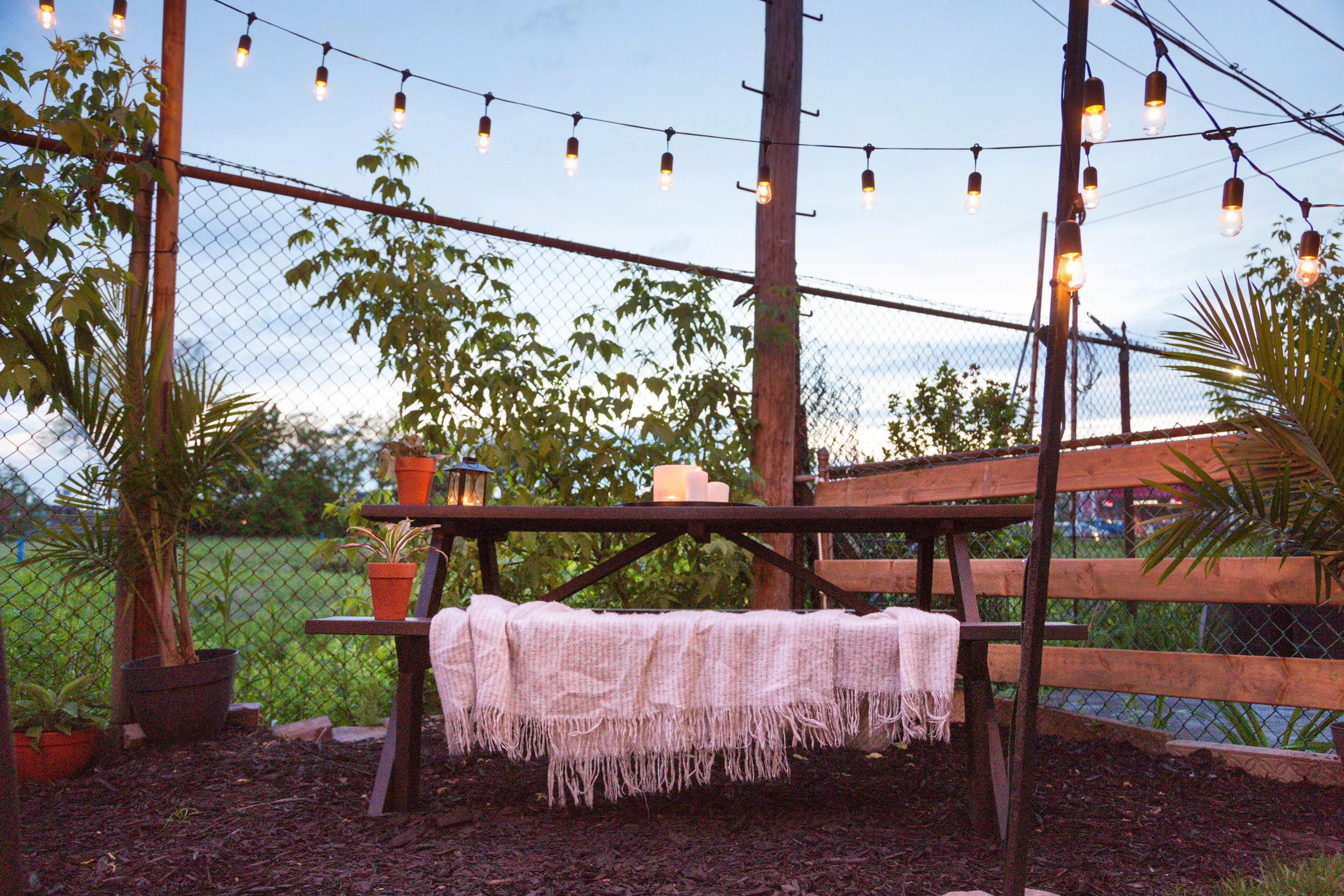 Daniella'sBackyard-24.jpg