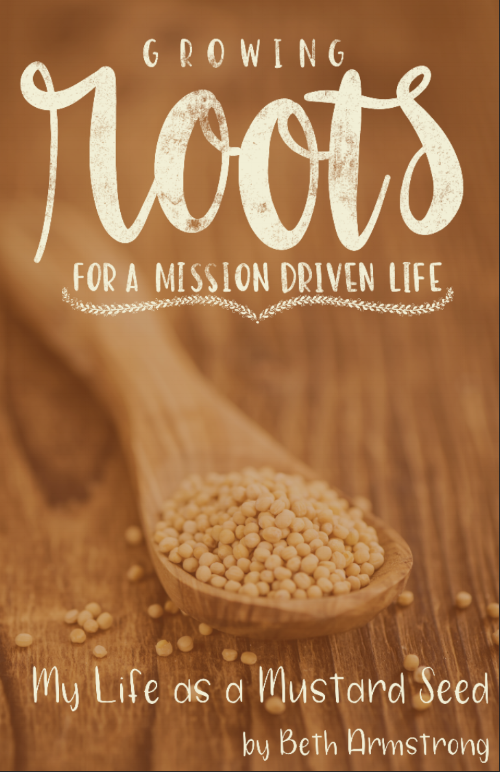 book one cover.png