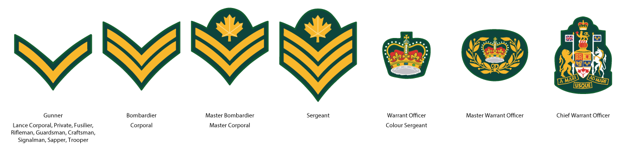 #11 Strathroy Army Cadets - Parent Info
