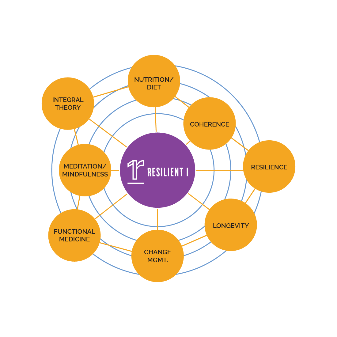 Diverse Network of Expertise_1_Image.png