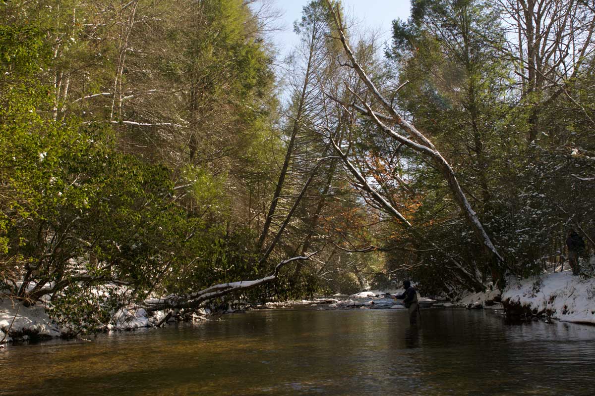 noontootla-creek-farms-winter-fly-fishing-brown-trout-winged-reel