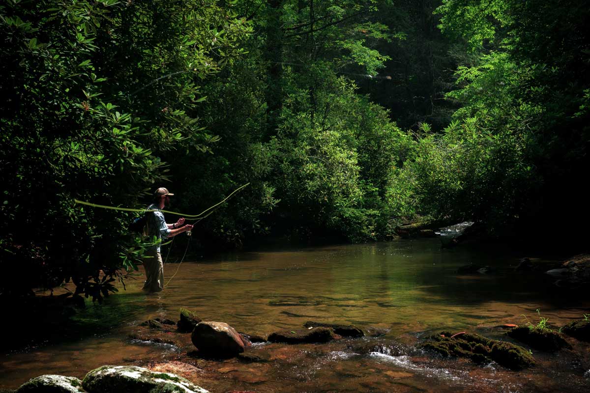 Slinging-Bugs-1200x800