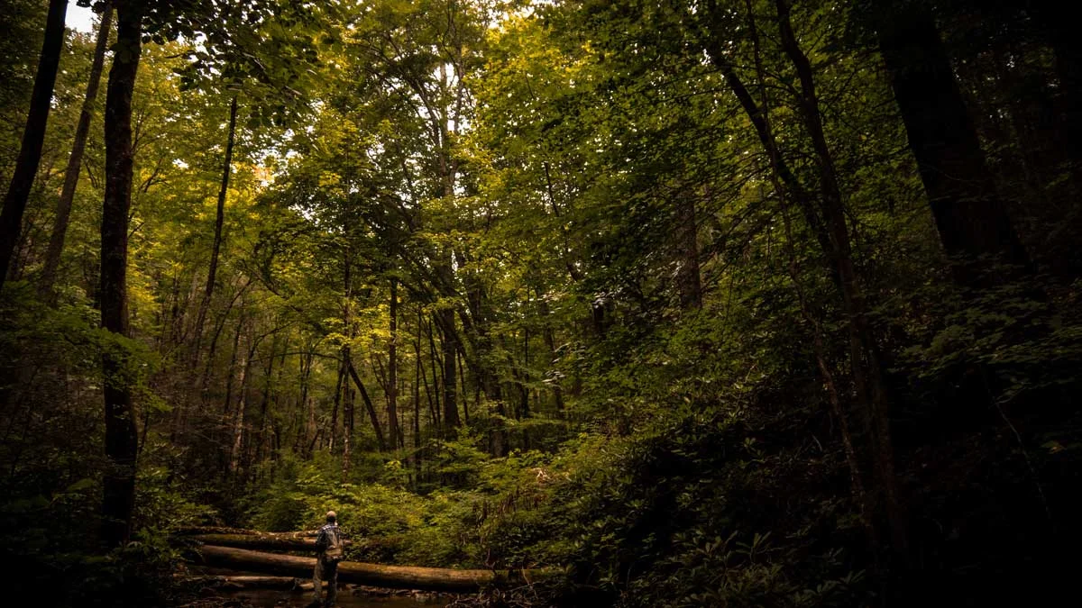 Deep-Upstream-1200x675