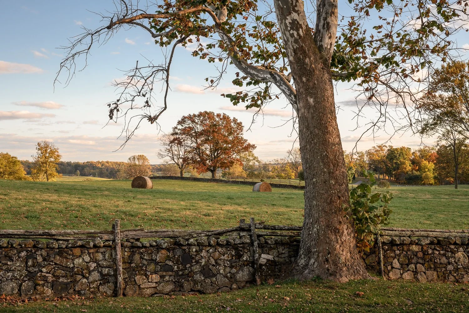 SSE Oak Spring Garden-19.jpg