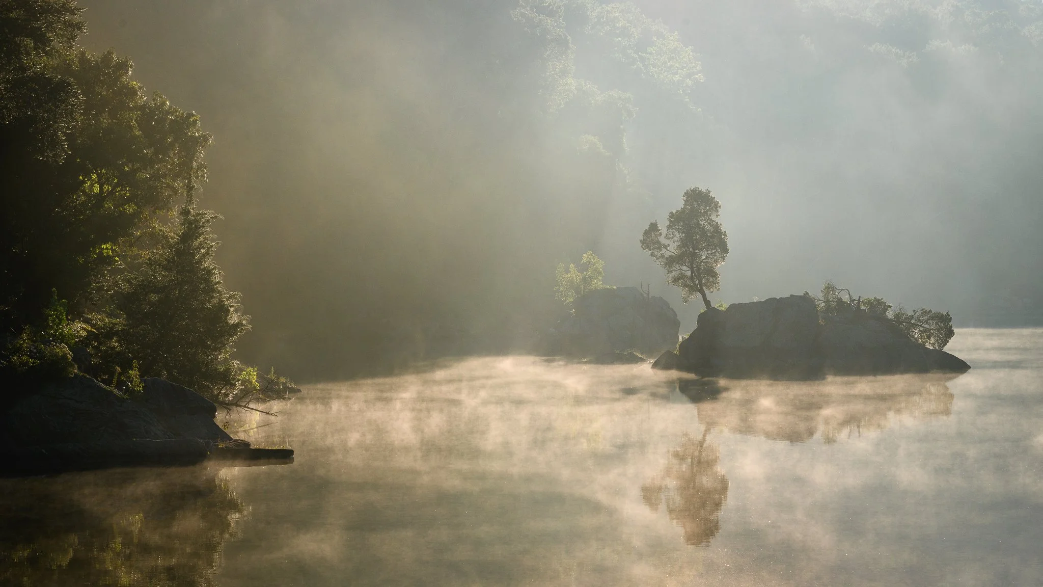 Sunlight illuminates a tiny tree and mist dances over the water at Widewater in Maryland.