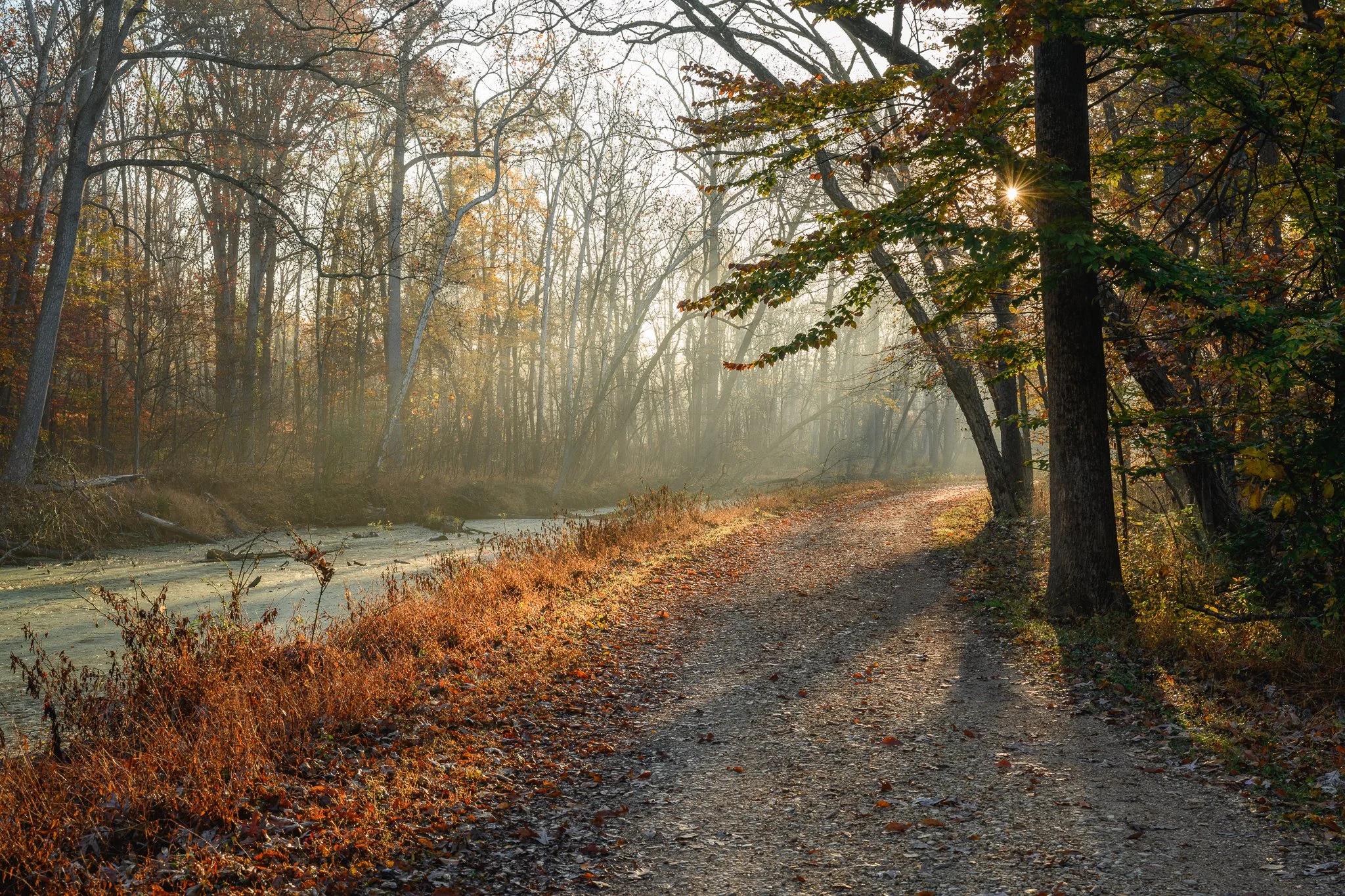 Light rays illuminate the Chesapeake and Ohio Canal and towpath in Maryland.