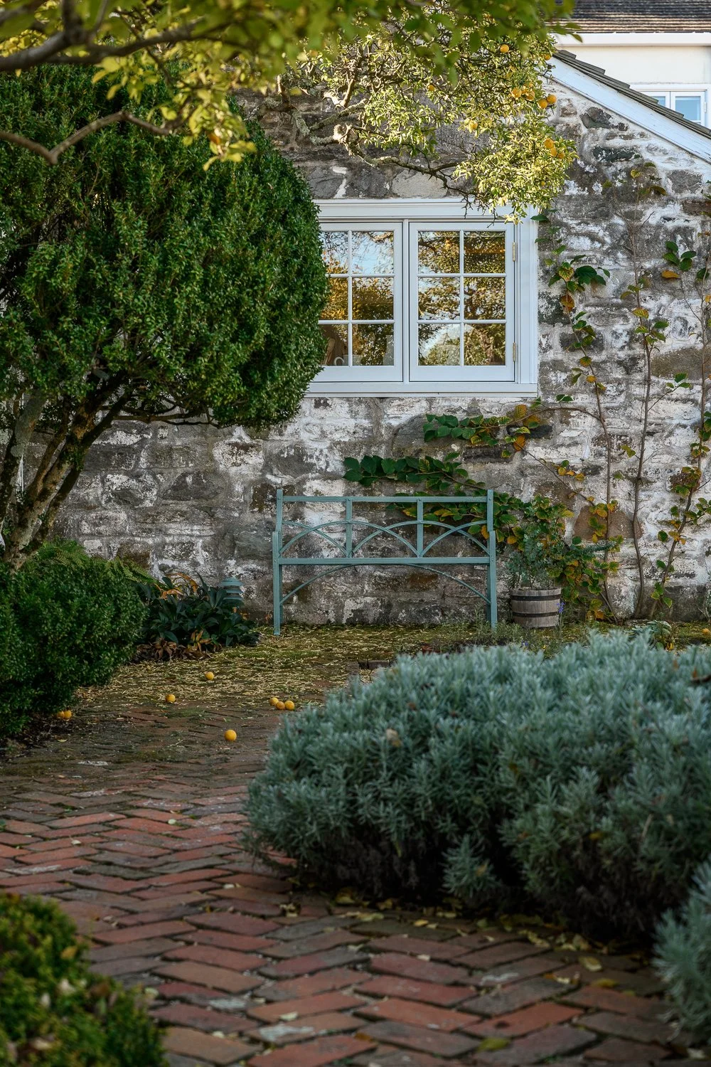 A garden scene with green bushes, a brick pathway with fallen yellow fruit, a vintage metal bench, and a stone wall with a white-framed window and climbing plants.