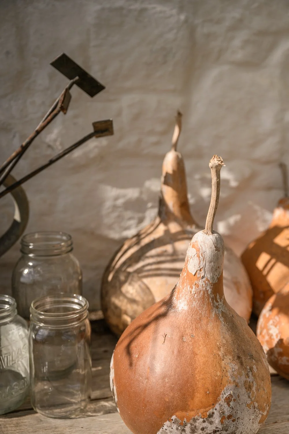 Jars and glass jars displayed on a wooden surface against a stone wall, with some farm tools in the background.