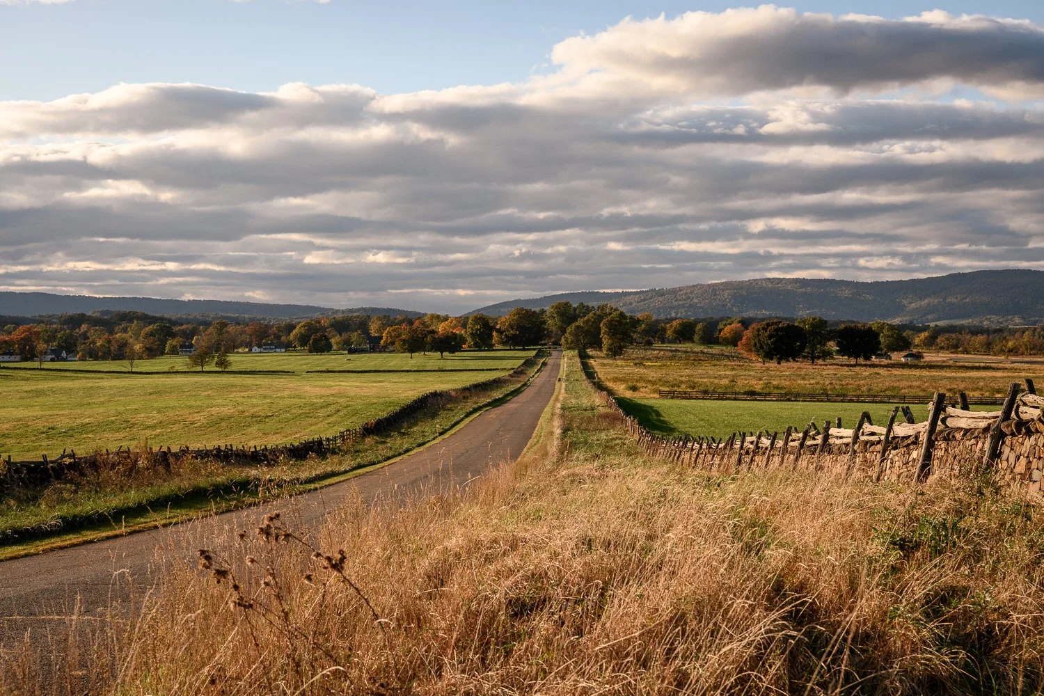 A rural countryside scene with a narrow road running through grassy fields, flanked by wooden fences, with trees and rolling hills in the background under a cloudy sky.