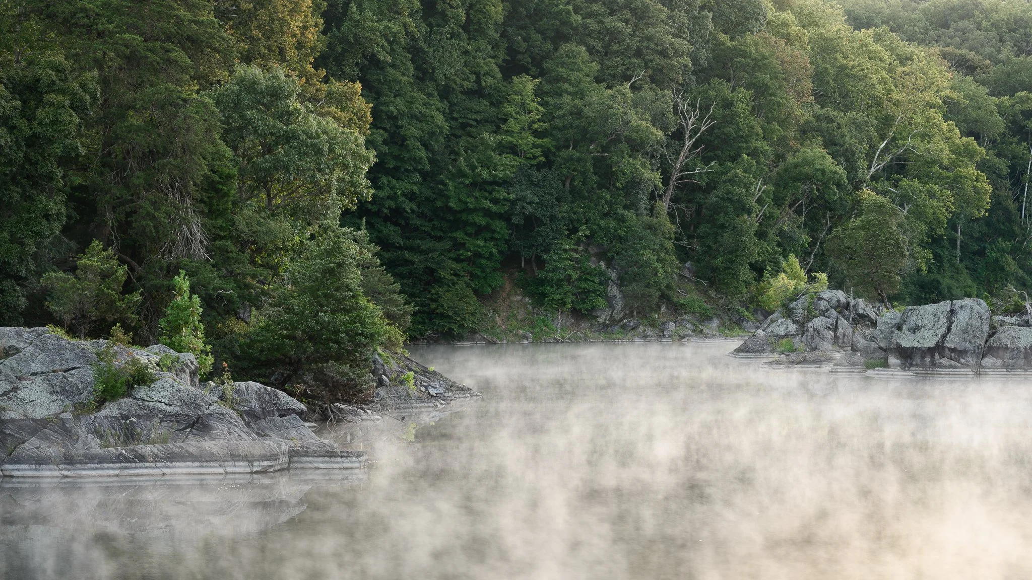 Mist over the water at Widewater.