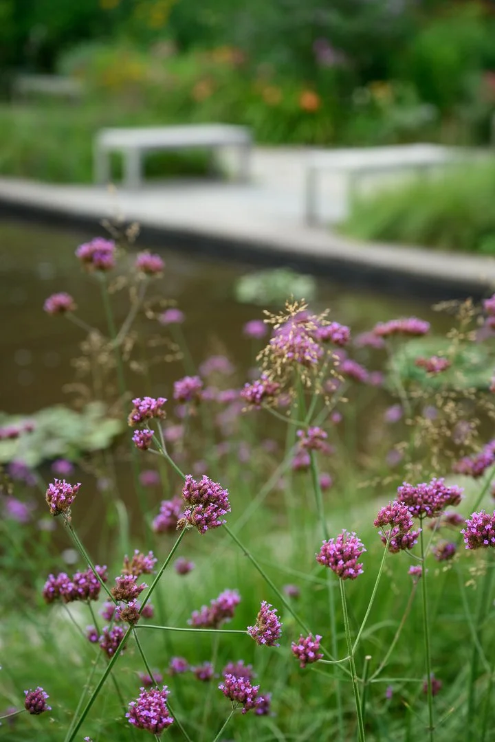 Stacy Smith Evans - Brookside Gardens-4.jpg