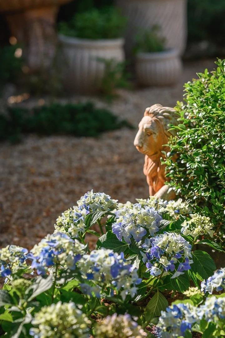 Stacy Smith Evans - Kensington-9.jpg