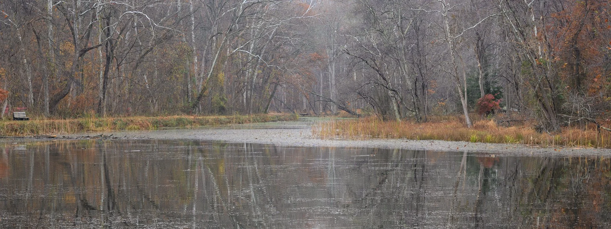 A late autumn panorama along the C&O Canal in Maryland.