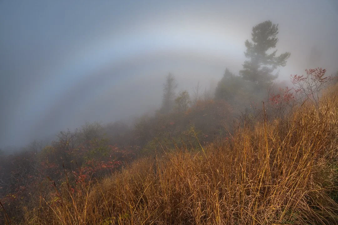 Misty mountain landscape with tall grasses and trees, shrouded in fog, during autumn.