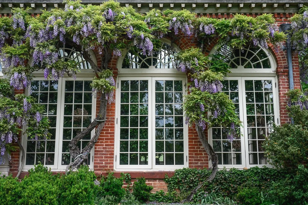 Stacy Smith Evans - Dumbarton Oaks-8.jpg