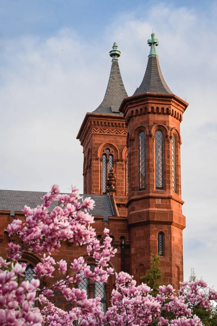 Pink magnolia blossoms frame the Smithsonian Castle in Washington, D.C. The historic building is shown with two tall steeples and pointed spires.