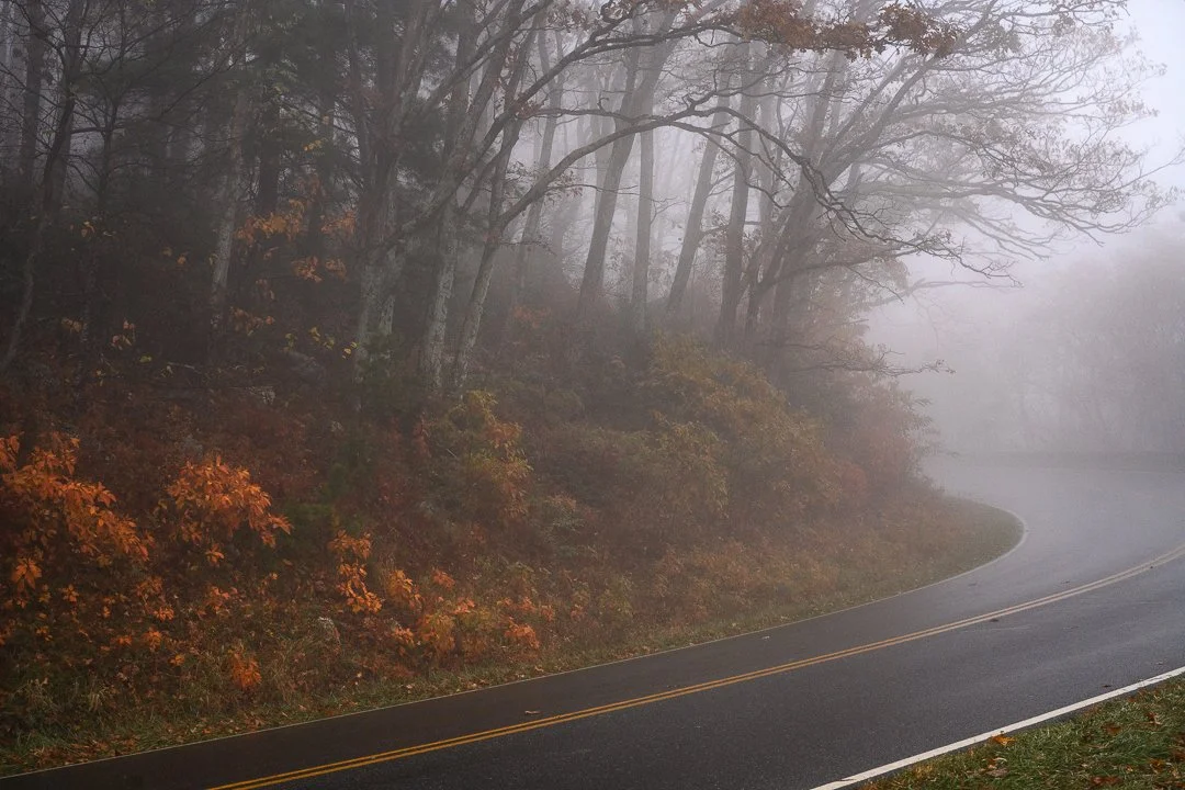 A winding road through a foggy forest with orange and brown fall foliage.