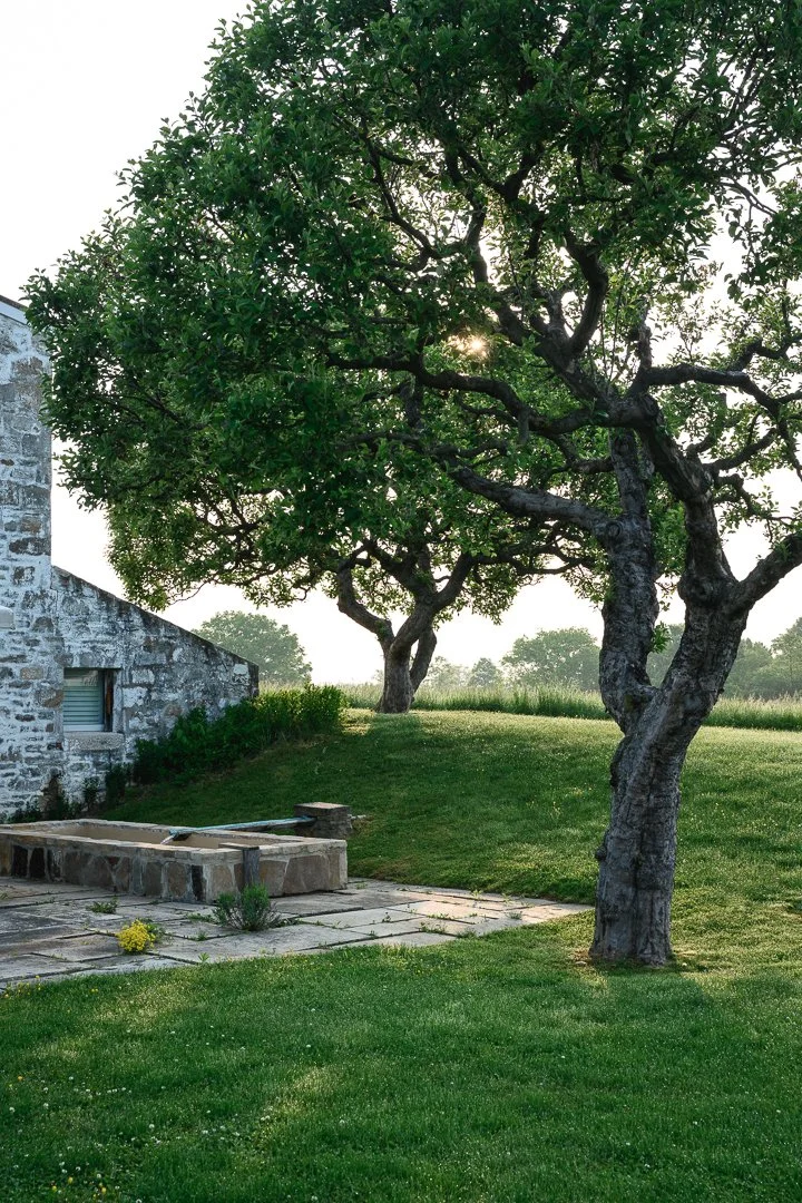 Stacy Smith Evans - Oak Spring Garden-12.jpg