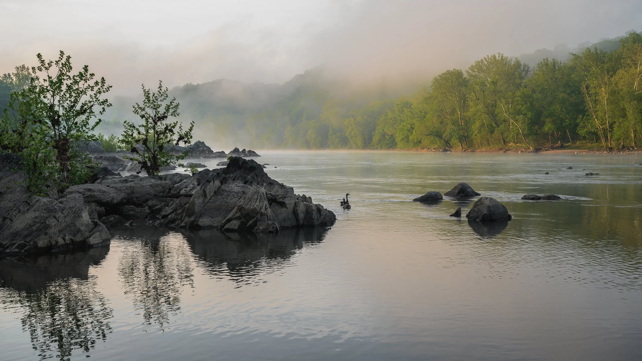 7 - Title: Spring on the Potomac; Framed Price: $600; Image Dimensions: 15"x27"; Frame Dimensions: 22"x34"; Frame Style: Walnut, Wood, Gallery style