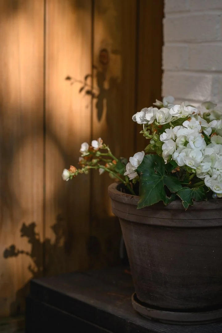 Stacy Smith Evans - Kensington-6.jpg